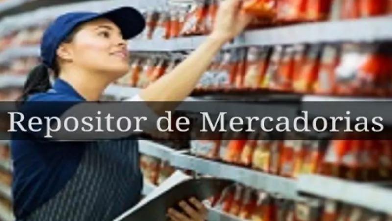 curso de repositor - Qué se estudia para ser repositor