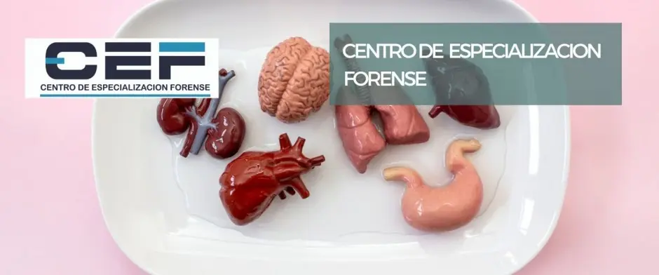 curso de evisceración - Qué se hace en una evisceración