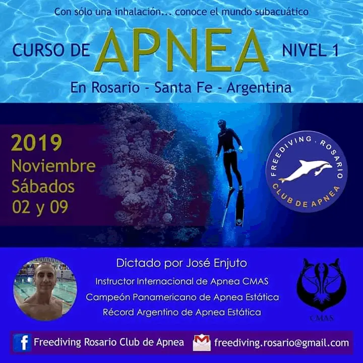 Curso de Apnea Argentina: Guía Completa para Principiantes y Avanzados - Qué se necesita para hacer apnea curso de apnea argentina - Qué se necesita para hacer apnea