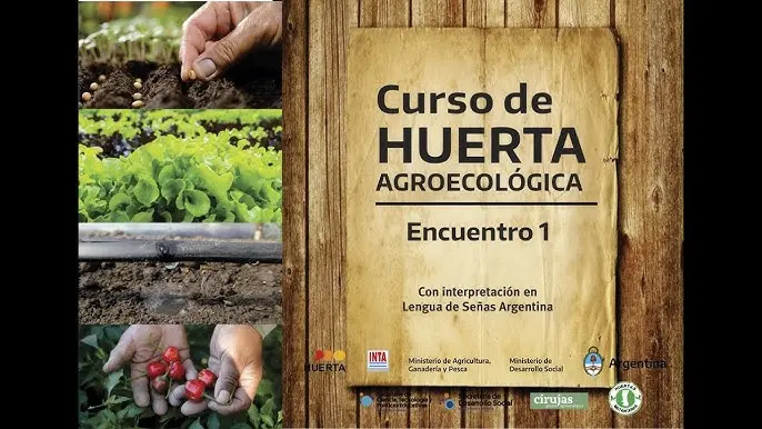 curso de huerta - Qué se necesita para iniciar una huerta