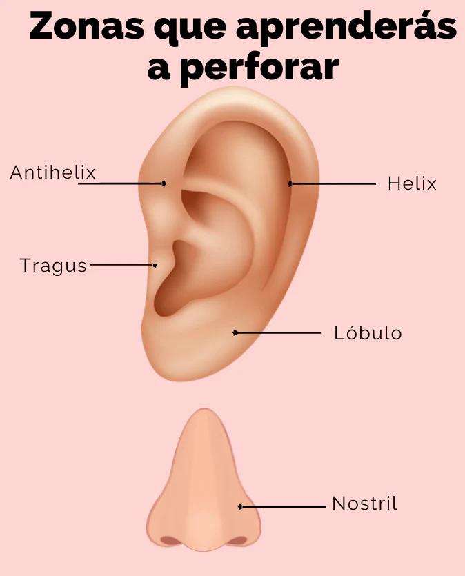 curso de perforaciones - Qué se necesita para poner piercings