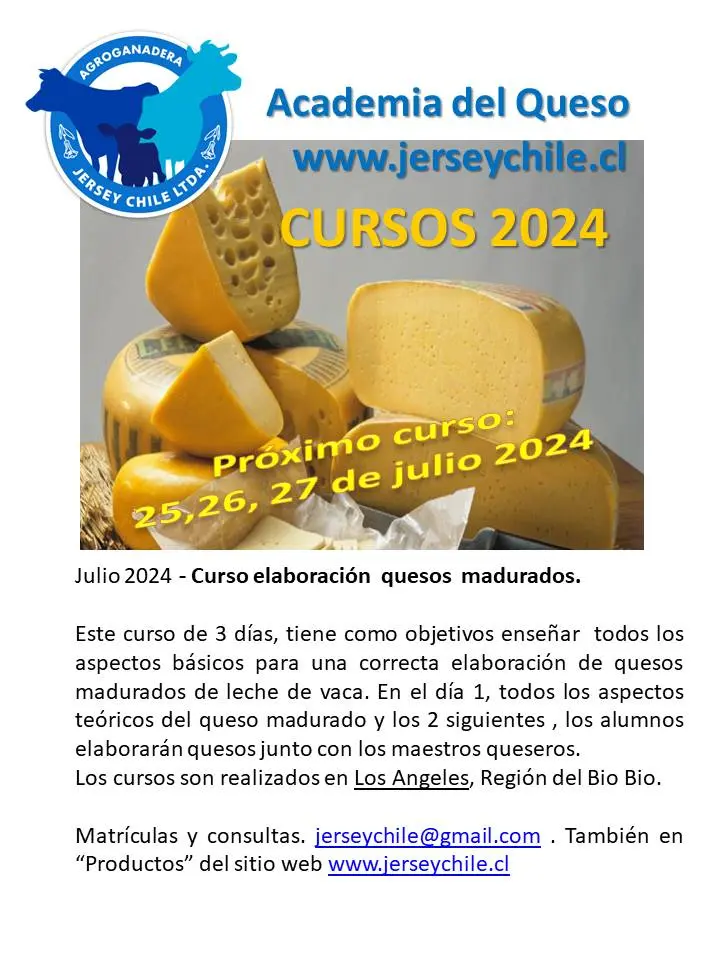curso de maestro quesero en argentina - Qué se necesita para poner un negocio de quesos