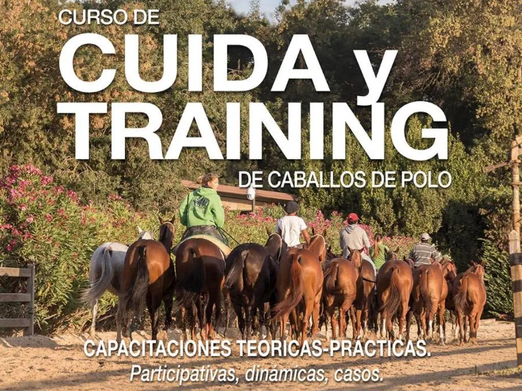 curso de cuidador de caballos en argentina - Qué se necesita para ser cuidador de caballos