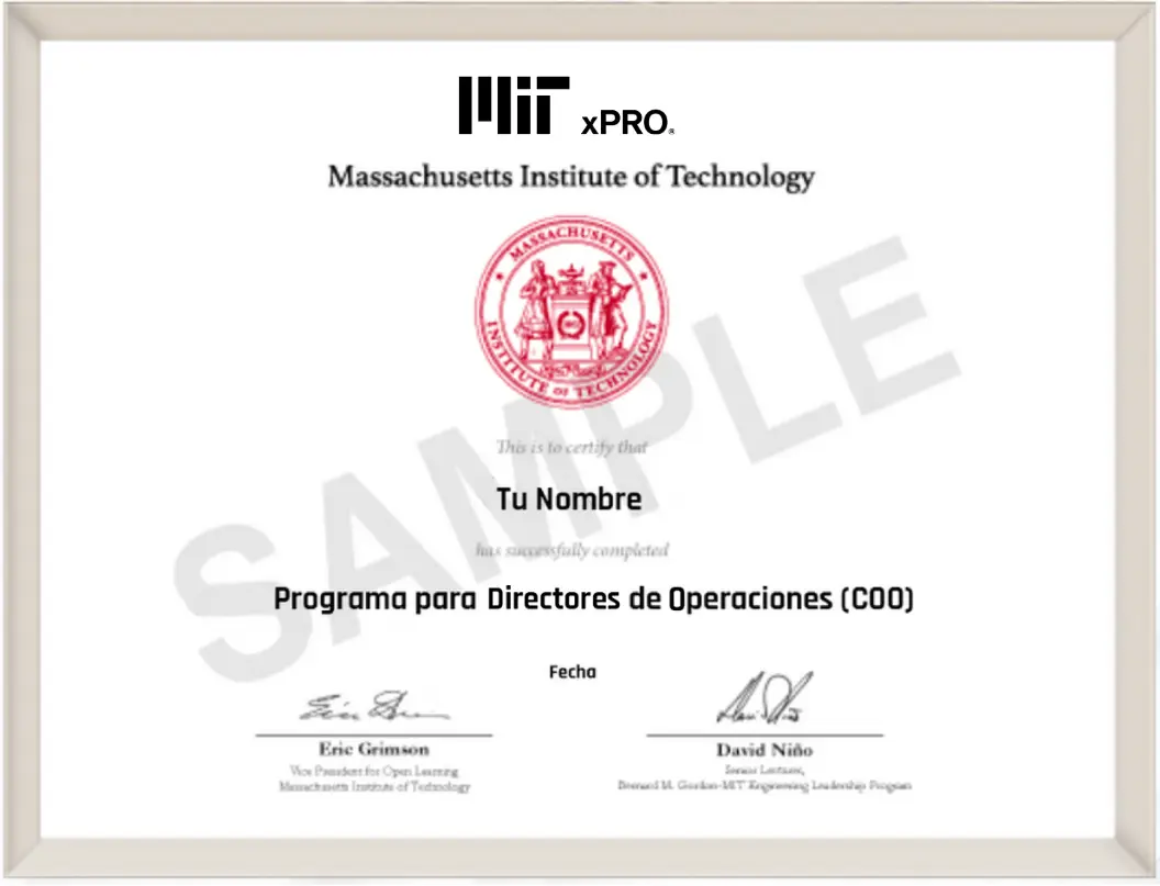 curso director de operaciones - Qué se necesita para ser un director de operaciones