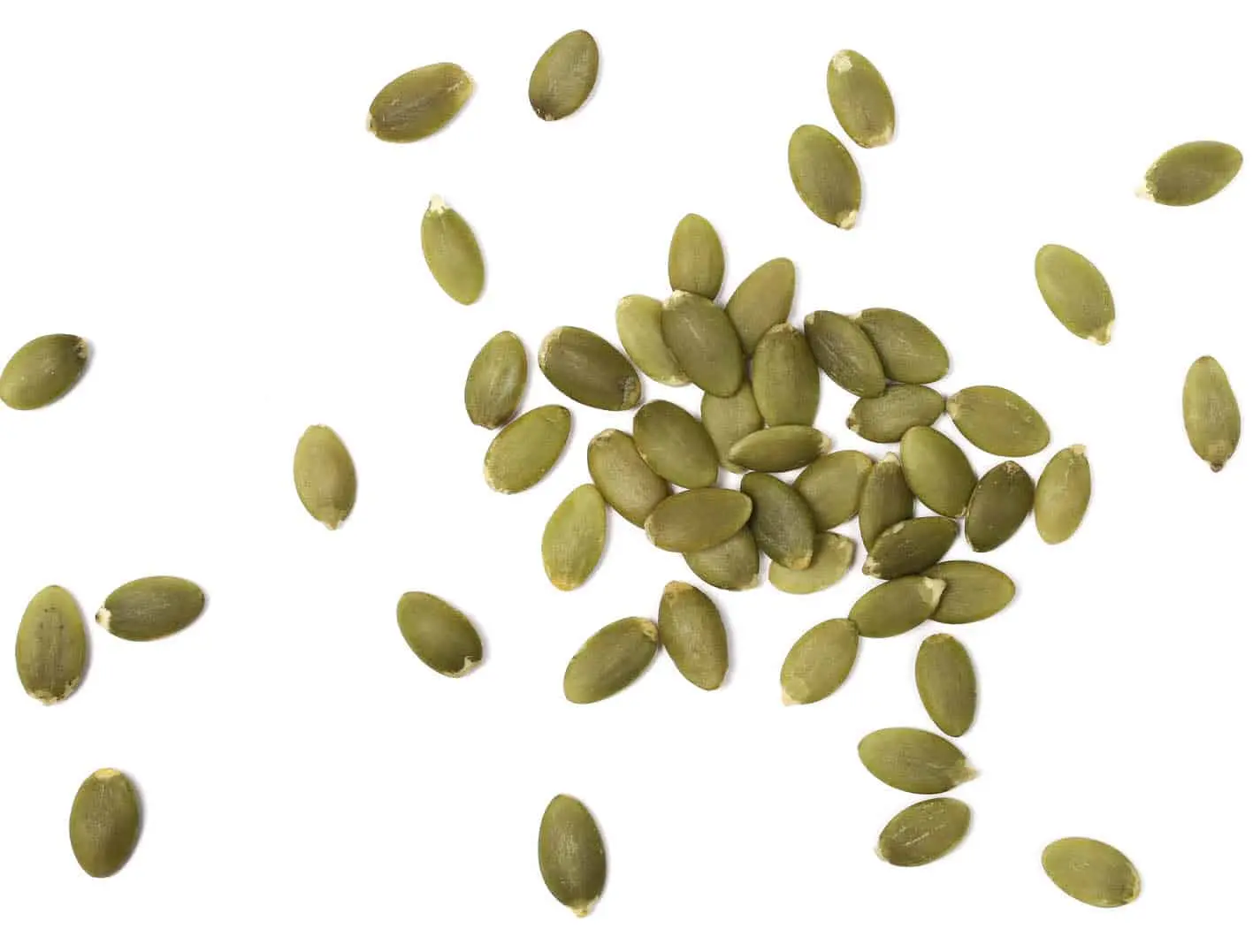 curso de germinados - Qué semilla germina más rápido de forma casera