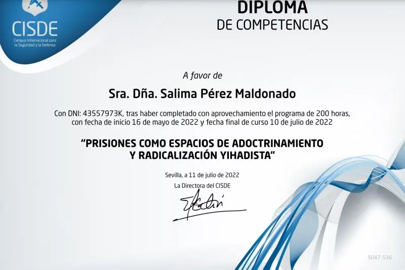 cisde cursos - Qué significa cisde