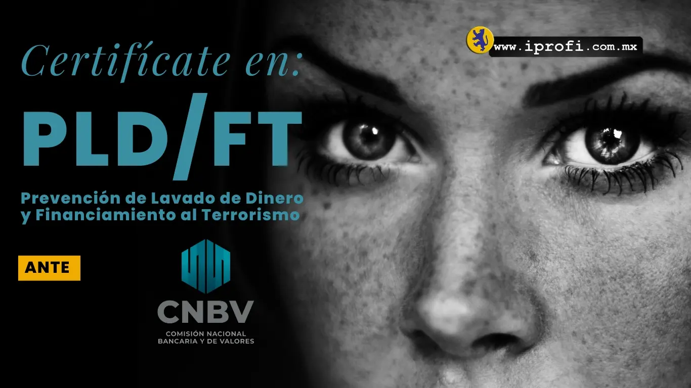 curso pld - Qué significa la PLD