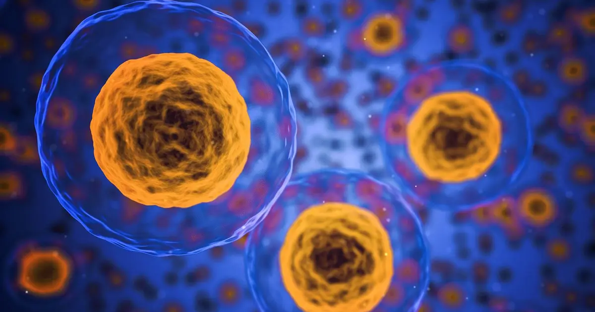 Memoria Celular: Cursos Gratis y Técnicas para la Sanación - Qué significa que las células tienen memoria memoria celular cursos gratis - Qué significa que las células tienen memoria