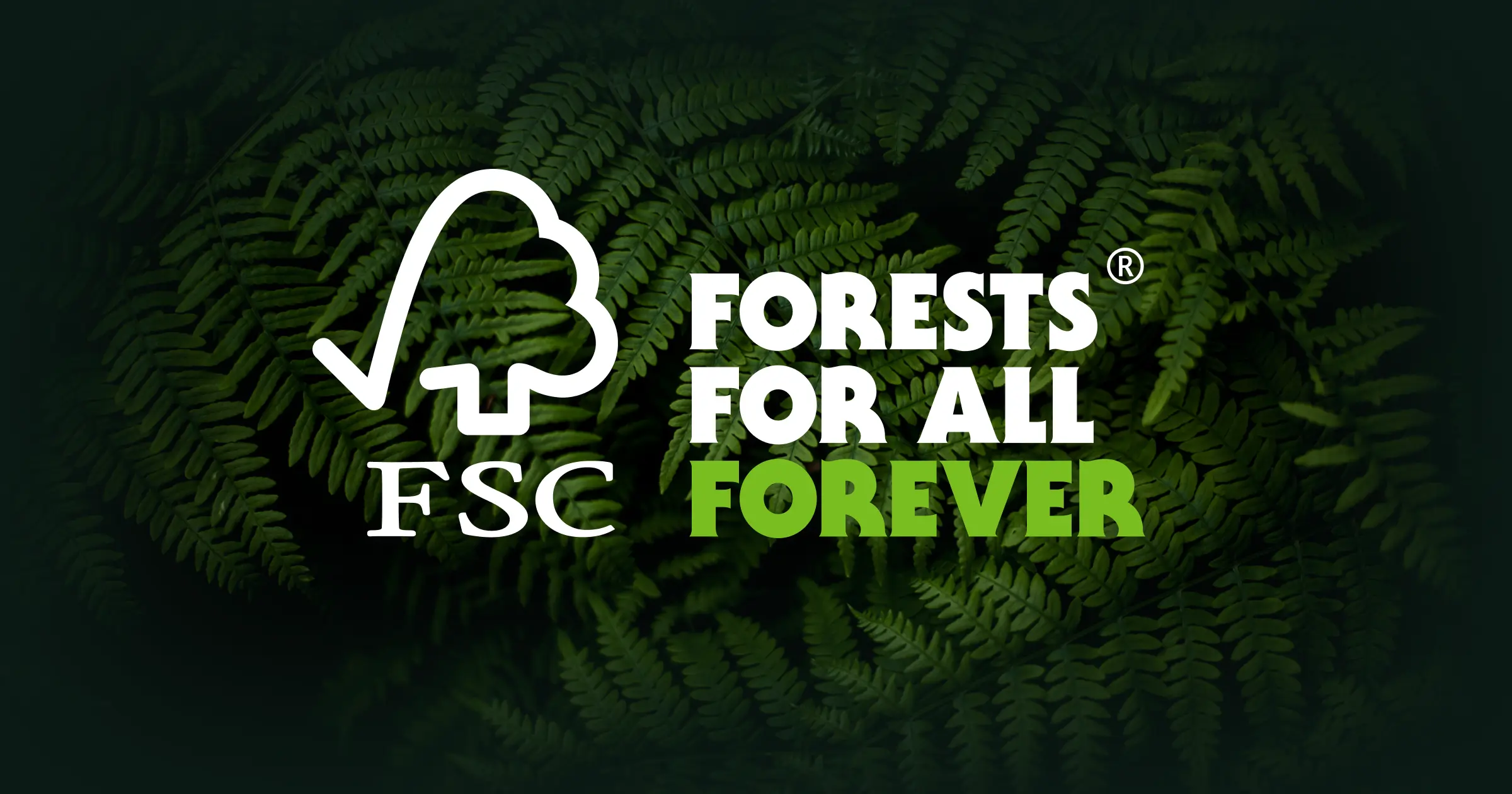 Curso FSC: Guía completa para la certificación forestal - Qué son las normas FSC curso fsc - Qué son las normas FSC