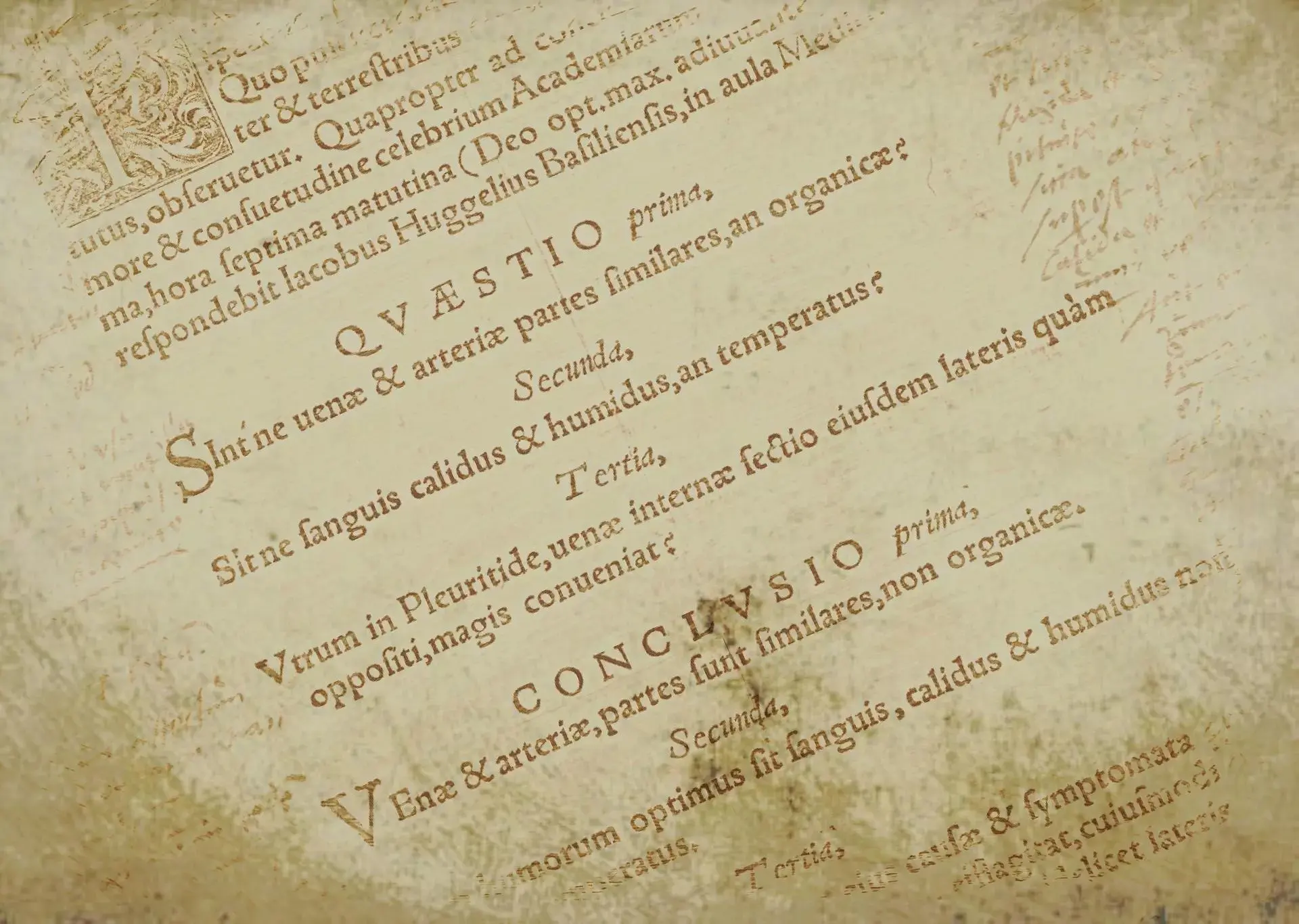 Curso de Latín Gratis: Aprende Latín Online - Qué tan difícil es aprender el latín curso de latin gratis - Qué tan difícil es aprender el latín