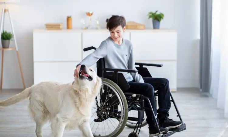 zooterapia cursos - Qué tan efectiva es la terapia con animales