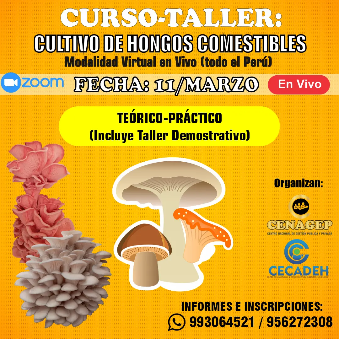 curso de hongos comestibles - Qué tan rentable es cultivar champiñones