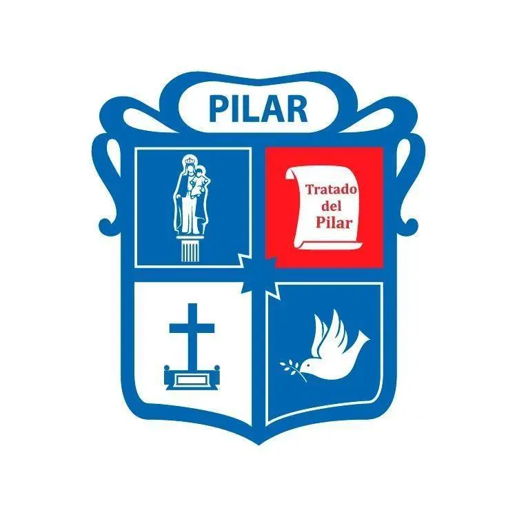 curso licencia de conducir pilar - Qué te toman para sacar el registro en Pilar