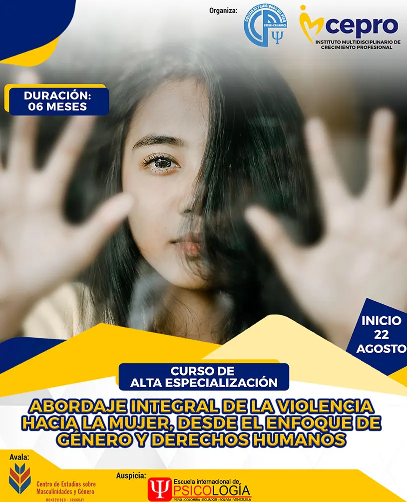 curso de violencia contra la mujer - Quién estudia la violencia