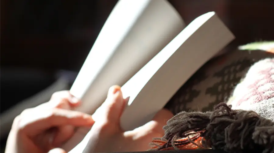 curso de literatura rusa - Quién fue Nabokov