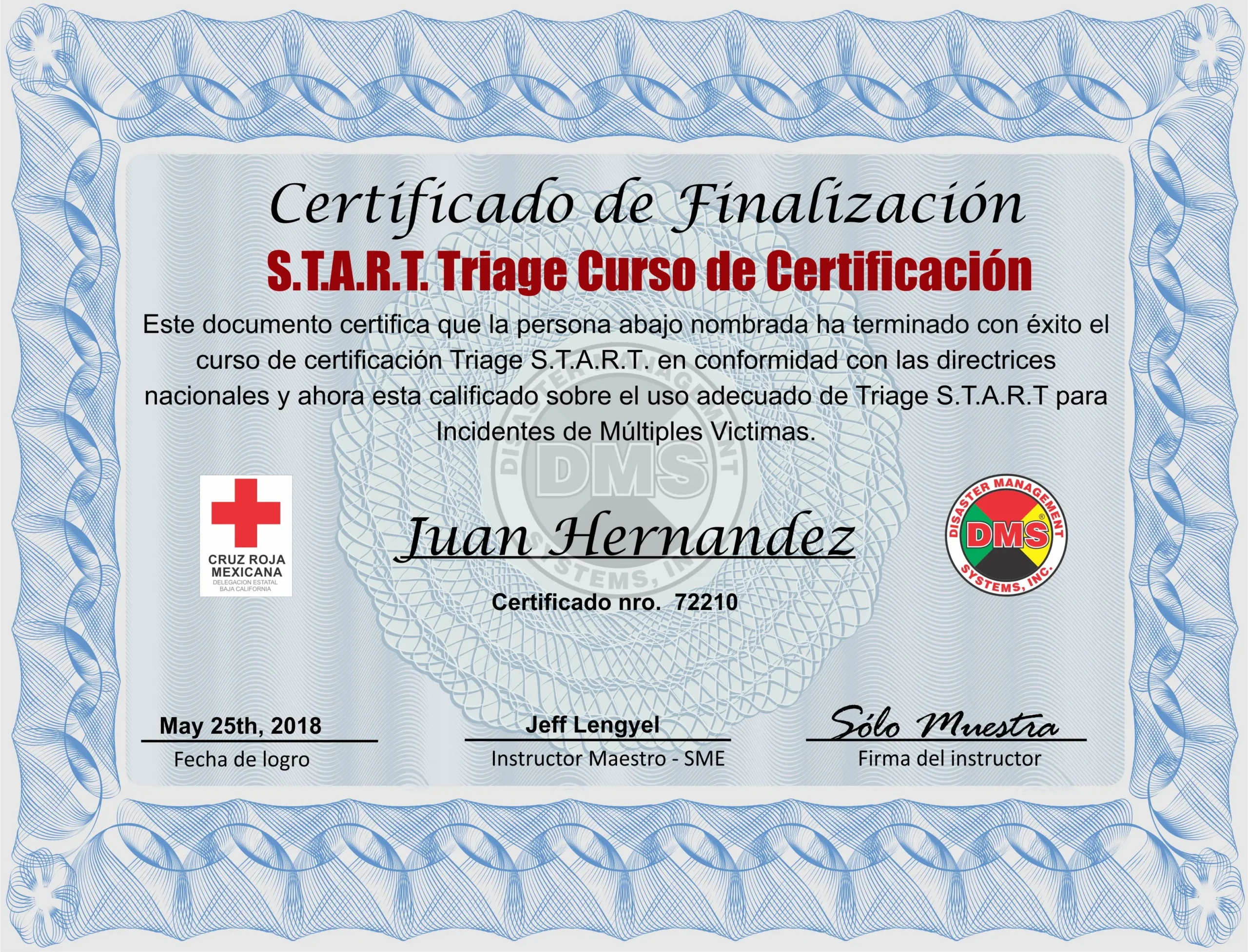 curso de triage gratis - Quién puede hacer triaje