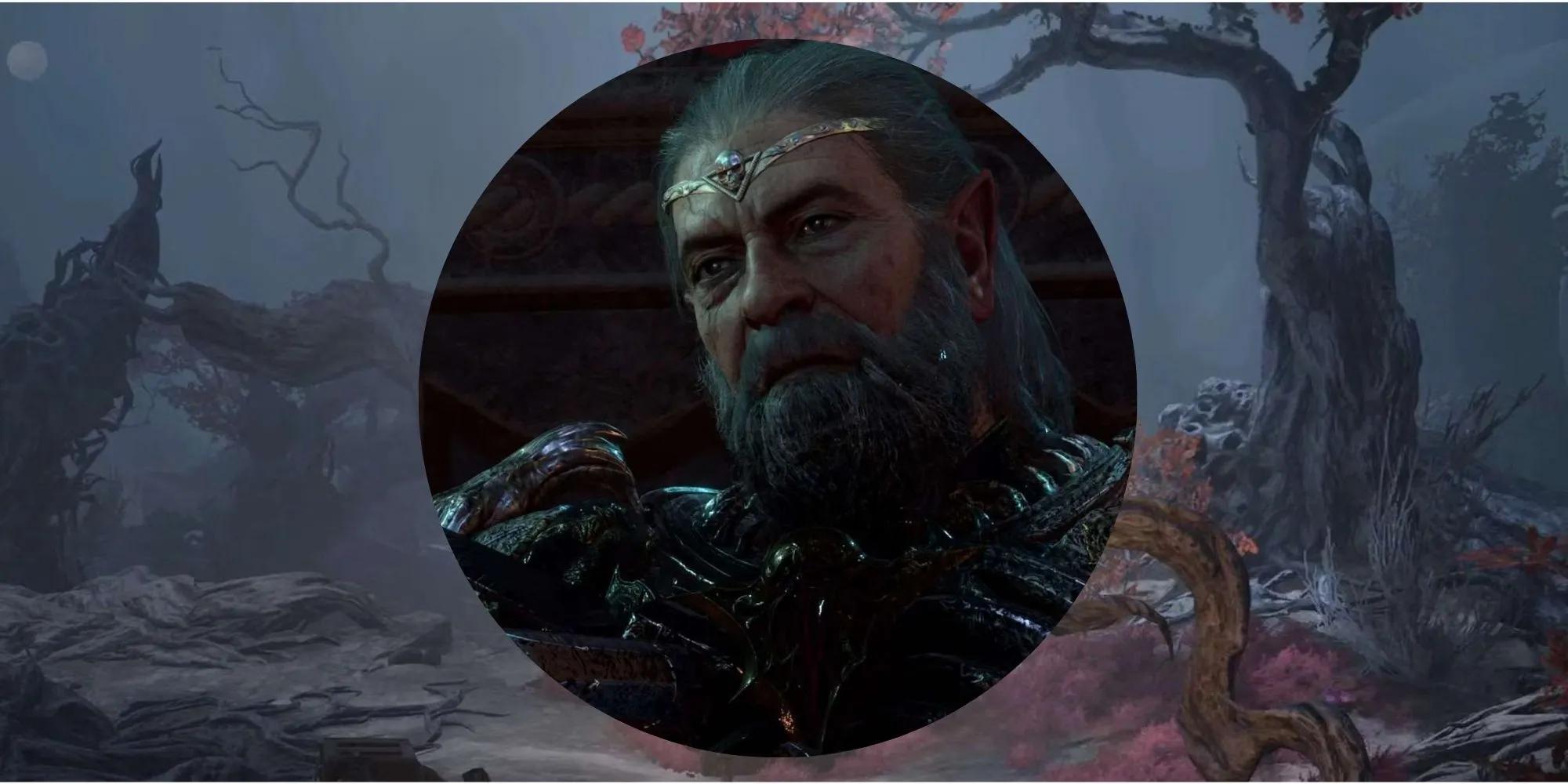 cursed lands - What are Shadow-Cursed Lands