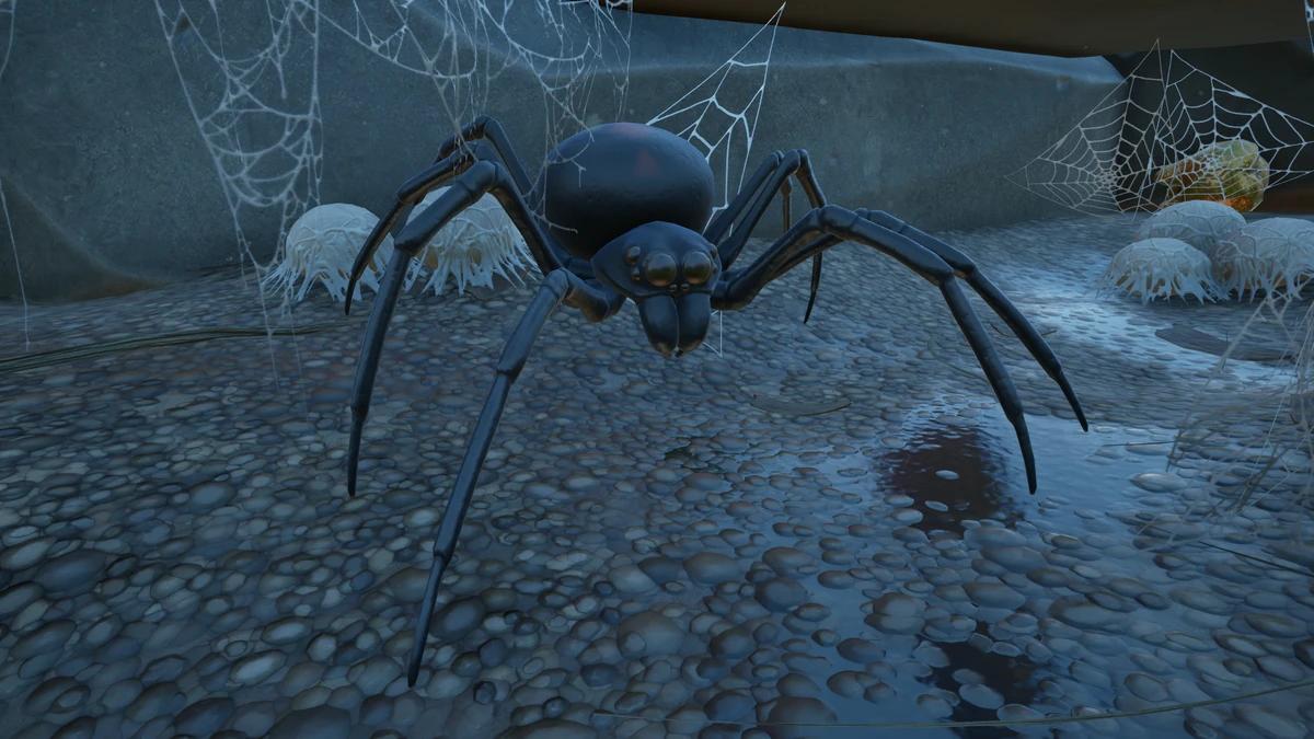 La Maldición de la Viuda Negra: Un análisis de la película de terror de los 70 - What is the black widow's weakness curse of the black widow - What is the black widow's weakness